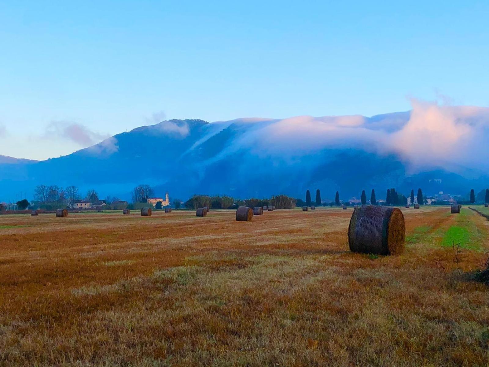 קאפאנורי Intero Alloggio Campagna Lucca מראה חיצוני תמונה